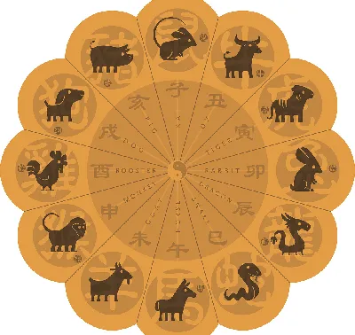 Двенадцать символов китайского календаря (十二生肖) - Большая Китайская  Энциклопедия