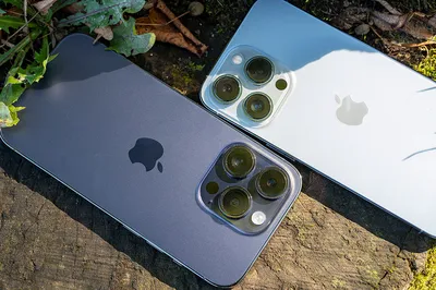 Apple iPhone 13 Green vs Alpine Green - Apple выпустили линейку iPhone 13 в  новых, зелёных оттенках