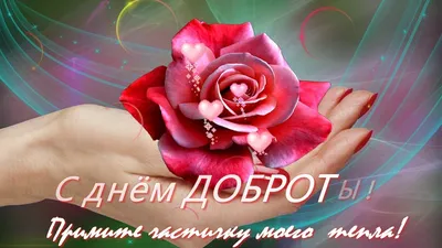 Международный день спонтанного проявления доброты,17 Февраля, красивая  видео открытка,день добра - YouTube | Открытки, Праздник, Красивые розы