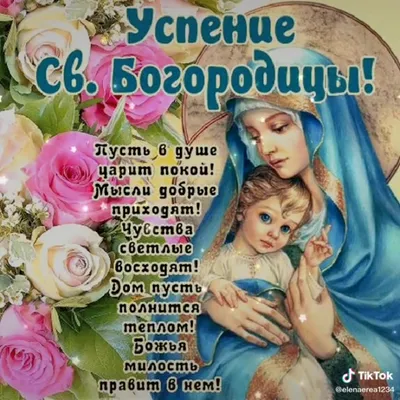 Сегодня, 28 августа, волшебный праздник – День Мечты! - Лента новостей  Севастополя