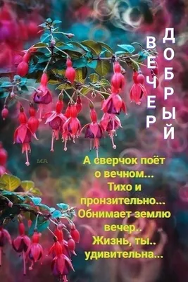 Церковь.LIVE - 🗓 Сегодня, #30марта, день памяти преподобного Алексия,  человека Божия, одного из самых почитаемых на Руси раннехристианских  святых, угодника Божия, совершавшего свои духовные подвиги в IV - начале V  столетия от