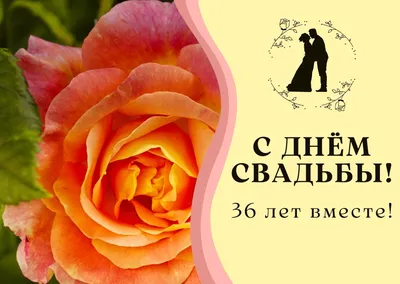 Подарочный диплом \"С днем свадьбы костяного фарфора. 36 лет\" — купить в  интернет-магазине по низкой цене на Яндекс Маркете