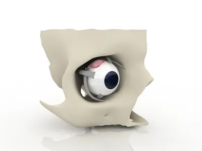 Гель-лак TNL - кошачий глаз 3D №03 - сиреневый (6 мл.) - Daniel-shop