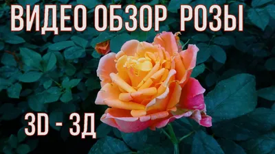 Обои 3D цветы в интерьере (листайте фото, чтобы увидеть обои в интерьере)  (id 107722807), заказать в Казахстане, цена на Satu.kz