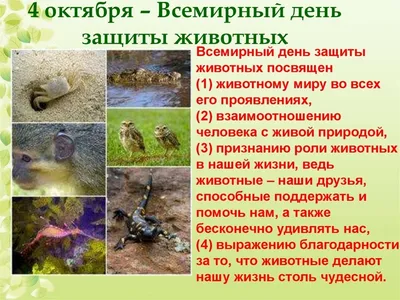 4 октября – День защиты животных — Симферопольский колледж радиоэлектроники