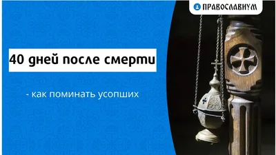 Паук «40 Дней После Смерти» 2005 (Союз) | RAPDB: Russian RAP Data Base  1990-2023