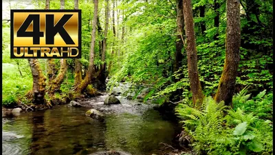 4K Video Ultra HD .Природа 4 К. Unbelievable Beauty - YouTube