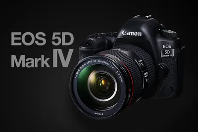 Canon EOS R vs. Canon 5D Mk IV | Which One Should You Choose?