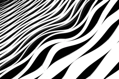 Картина на холсте для интерьера - Чёрно-белые дуги, абстракция 80х110 см -  купить по низкой цене в интернет-магазине OZON (1189555601)
