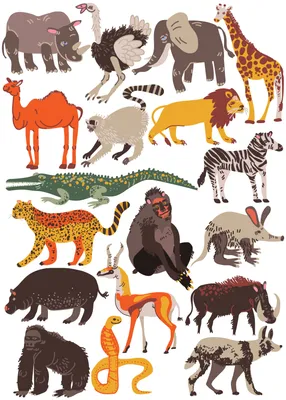 Животные Африки - Карточки Домана животные для детей - YouTube