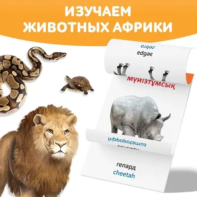 Тетрадь для общения и развития детей \"Животные Африки\" СФ-Т-18 в  Москве|CLEVER-TOY.RU