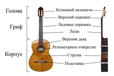 Гитара акустическая Аккорд ACD-39A-513 BK купить в Минске
