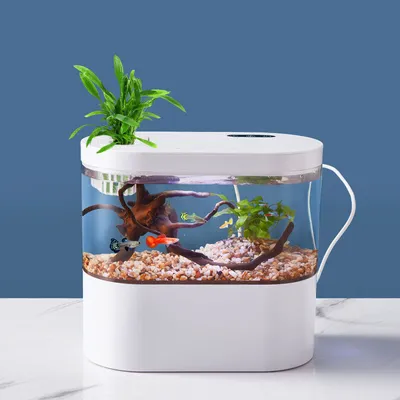 Как обустроить домашний аквариум | Garfield.by