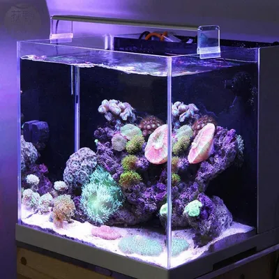 Купить аквариум с крышкой 60 л. LED овал (Орех)