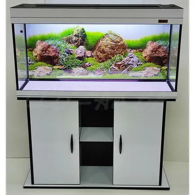 Как просто оформить и запустить аквариум 30 литров: пошаговая инструкция -  Аквапит.рф