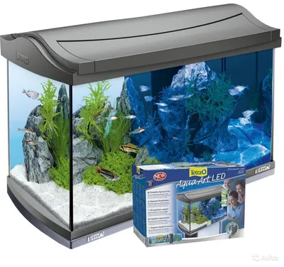 Рифовый и Морской аквариумы в «MEGA Center Almaty» » ТОО \"Аквариум Сервис\"  — широкий выбор товаров для аквариумов в Алматы.