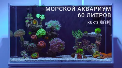 Аквариум AA-Aquarium BasicP 20л, панорамный черный, 440х190х360 мм ―  Aquatic World