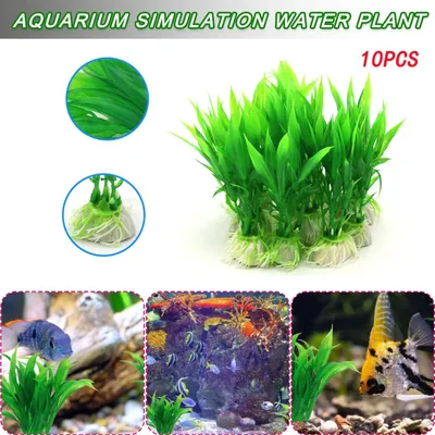 Аквариумные растения, прочные Искусственные пластиковые украшения для  аквариума, 10 шт. | AliExpress