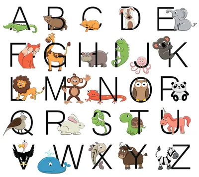 Мохнатая азбука | Азбука, Алфавит, Животные