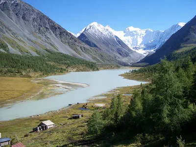 Как различить Алтайский край и Республику Алтай | Сибирь, открытая для  путешествий | Дзен