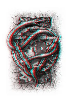 anaglyph snake змея анаглиф :: Behance