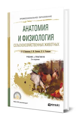 Gorodknig.uz купить в интернет магазине книг Хокинс, Уильямс: Большой атлас  животных в картинках в Ташкенте с доставкой на дом