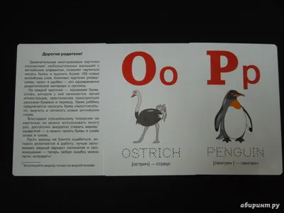 Английский алфавит: 32 красочных развивающих карточек для занятий с детьми  - отзывы покупателей на маркетплейсе Мегамаркет | Артикул: 100025986692
