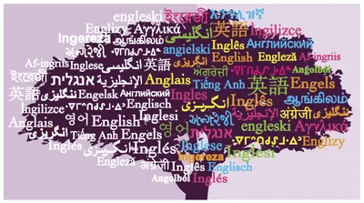 Английский международный язык: почему он стал популярным?