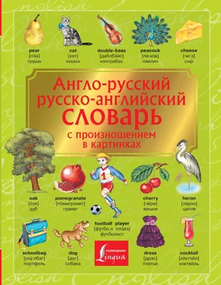 Книга \"Англо-русский. Русско-английский словарь с произношением в картинках\"  - купить в Германии | BOOQUA.de