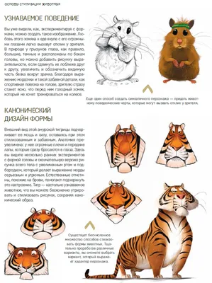 Дизайн персонажей, антропоморфные животные — Dprofile