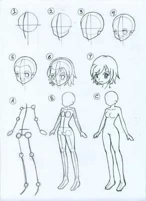 Как нарисовать человека в стиле аниме - Лайфхакер