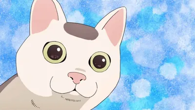 Кот-мастер на все лапки сегодня снова грустит» — анонс аниме про  кота-домоправителя и его безалаберную хозяйку | КГ-Портал