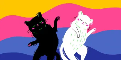 Пара милых котеек и небольшая анимация | Пикабу