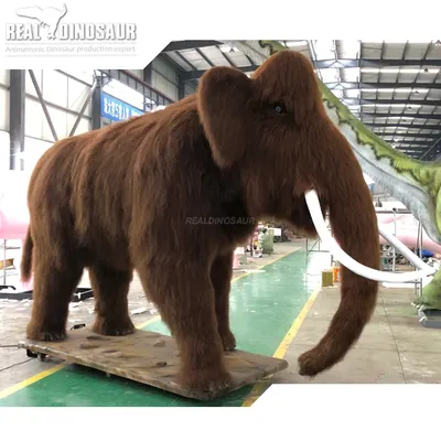 Медведь Анимированные животные в реальном времени 3D Модель $249 - .fbx  .max - Free3D