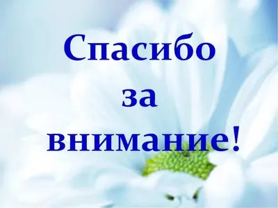 Анимация спасибо за внимание для презентации на прозрачном фоне - фото и  картинки abrakadabra.fun