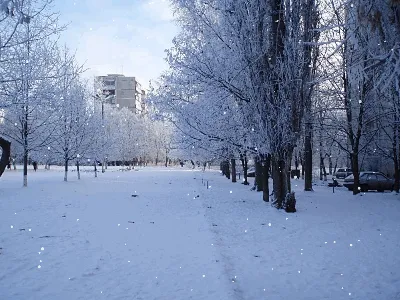 Зима в Завидово
