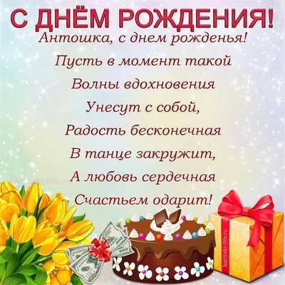 Антошка, с Днем рождения! ❤️ | Шпиц-команда Москвы | Дзен