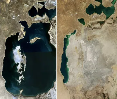 Аральское море — Википедия