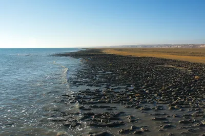 В Аральском море увеличился объем воды – Минэкологии - 26.03.2022, Sputnik  Казахстан