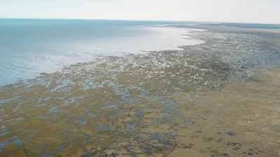 На МКС показали, во что превратилось Аральское море - Российская газета