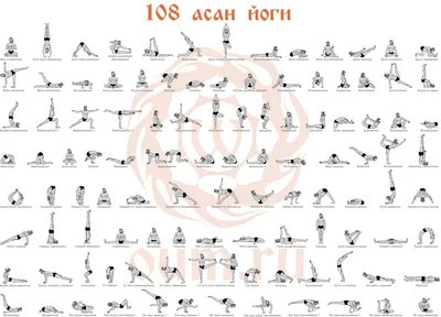 Асаны в йоге в картинках - 108 положений