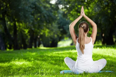Йога для спины и позвоночника: упражнения для начинающих в домашних  условиях - Студия йоги Чакра