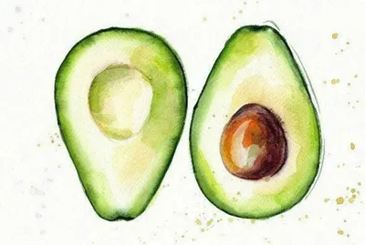 Рисунки авокадо для срисовки милые - 62 фото
