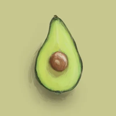 Авокадо рисунок для срисовки (42 фото)