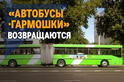 Купить Автобус ютонг ZK6128H в лизинг для юридических лиц по цене 14 330  000 руб.. КамЛизинг - выгодные условия лизинга на Автобусы, калькулятор  лизинга и оформление в вашем городе Белгород