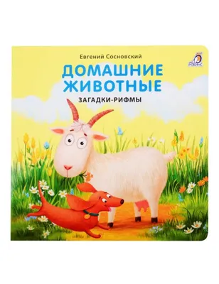 Речевая раскраска. Домашние животные — купить книги на русском языке в  DomKnigi в Европе