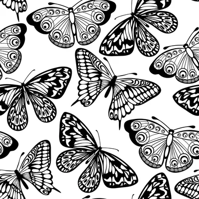 Бабочки картинки черно белые