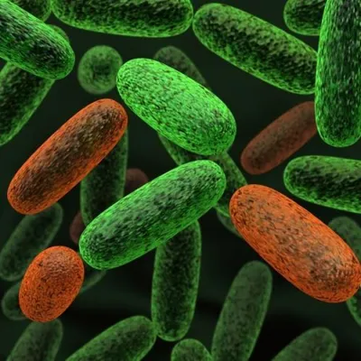 Бактерии | Elite Dangerous Wiki | Fandom
