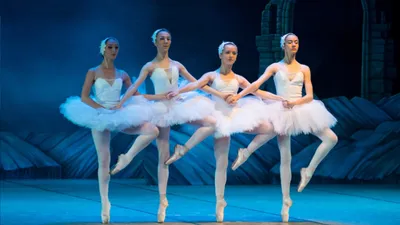 Всемирный день балета 2024: какого числа, история и традиции праздника