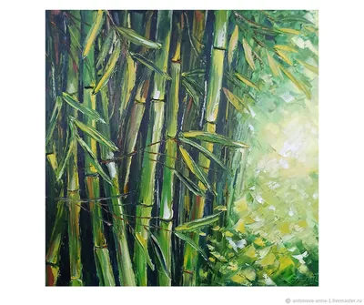 Бамбук. Интересные факты об удивительном растении | Пикабу